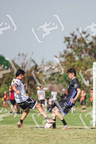 Foto Y7KFQ