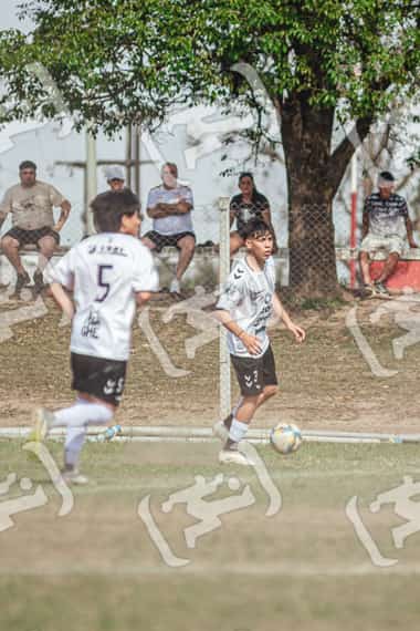Foto FYBR6