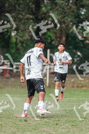 Foto XPZC6