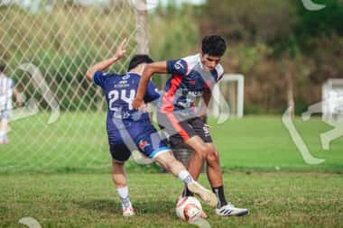 Foto XGWMV