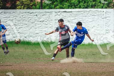 Foto P3M8K